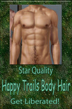 Sims 3 — Star Quality Happy Trails Body Hair by terriecason — 