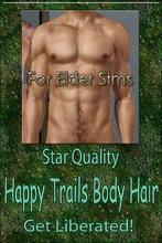 Sims 3 — Star Quality Happy Trails Body Hair-Elder by terriecason — 