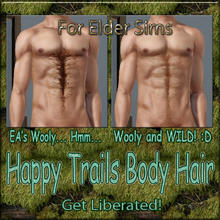 Sims 3 — Happy Trail  Body Hair-Wooly-Elder Males by terriecason — 