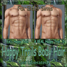 Sims 3 — Happy Trail Body Hair - HappyTrail-Elder Males by terriecason — 
