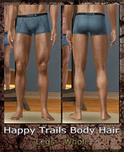 Sims 3 — Happy Trails Body Hair - Legs-Whole by terriecason — 