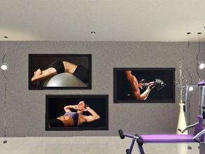 Sims 3 — Fitness I by ung999 — Fitness I - three pictures in one file perfect to put in gym room - cloned from EA's