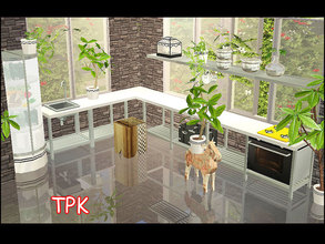 Sims 2 — TPK by steffor — the perfect kitchen