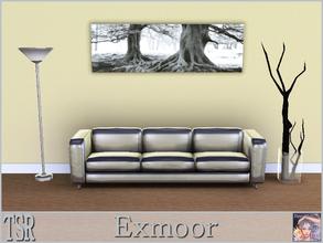 Sims 3 — Exmoor by ziggy28 — A haunting black and white picture of Exmoor, Devon, England. By Helmut Hirler. TSRAA 