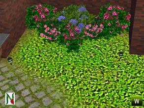 Sims 3 — Green Leaves by nicketti — AutumGrass_Clone Green Leafy ground cover
