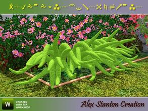 Sims 3 — Asparagus densiflorus Meyeri (border) by alex_stanton1983 — Asparagus densiflorus is a small-sized plant in