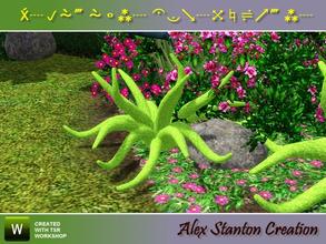 Sims 3 — Asparagus densiflorus Meyeri (young) by alex_stanton1983 — Asparagus densiflorus is a small-sized plant in