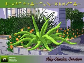 Sims 3 — Asparagus densiflorus Meyeri (crawling) by alex_stanton1983 — Asparagus densiflorus is a small-sized plant in