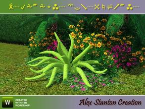 Sims 3 — Asparagus densiflorus Meyeri by alex_stanton1983 — Asparagus densiflorus is a small-sized plant in shoots