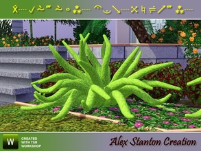 Sims 3 — Asparagus densiflorus Meyeri Set by alex_stanton1983 — Asparagus densiflorus is a small-sized plant in shoots