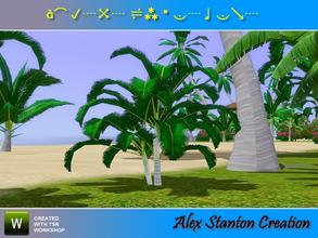 Sims 3 — Dypsis lutescens (1,5m) by alex_stanton1983 — 