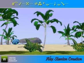 Sims 3 — Dypsis lutescens (2m) by alex_stanton1983 — 