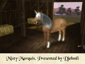 Sims 3 — Misty Marquis, Racing Wonder Horse by djehmli — Daughter of Myra Horse and Dagbert Marquis (out of Baby