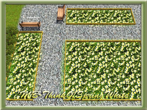 Sims 3 — MB-ThinkOfSpringWhite by matomibotaki — MB-ThinkOfSpringWhite, terrain paint with little white flowers, by