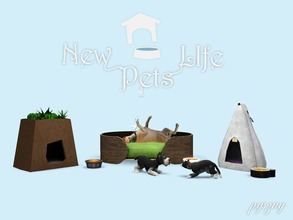 Sims 3 — New Pets LIfe by pyszny16 — Now your Pets have new life level! Please don't clone my meshes!