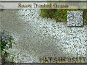 Sims 3 — Snow Dusted Grass by hatshepsut — Icy terrain paint to add the finishing touch to those cold winter scenes