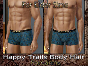 Sims 3 — Happy Trails Body Hair - Forearms-Elder by terriecason — 