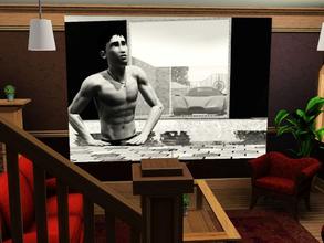 Sims 3 — Black and White In-Game Portraits -- Male Models by spladoum — 3/4 black and white wall photographs of various