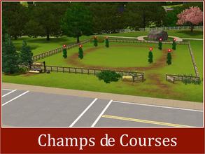 Sims 3 — New Riverview Training races by Youlie25 — There are my 2 last lots for riverview, Les Harras Nationaux and