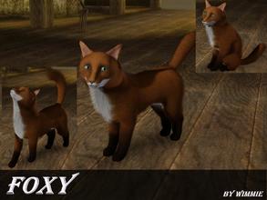 Sims 3 — Foxy Fox by Wimmie — This is Foxy. She is a cat but looks like a fox. Thank you for downloading and have fun !