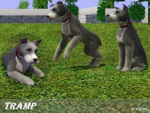 Sims 3 — Tramp by Wimmie — Hi, this is Tramp. Tramp is a great dog and he's the best friend of Lady. Thanks for