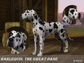 Sims 3 — Harlequin the Great Dane by Wimmie — Hi, this is Harlequin, a Great Dane. In my game he lives on a stud farm and
