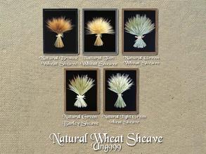 Sims 3 — Natural Wheat Sheave by ung999 — Ung999_Natural Wheat Sheave - Five paintings in one file 