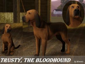 Sims 3 — Trusty by Wimmie — Hi, this is Trusty. He's a bloodhound. Thank you for downloading and have fun !
