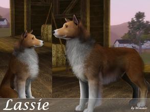 Sims 3 — Lassie by Wimmie — Hi, in my opinion the premade collie in the game is quite poor. So I made a female collie