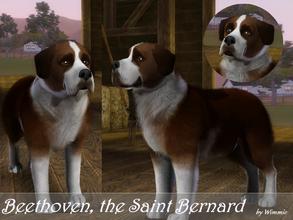Sims 3 — Beethoven by Wimmie — Hi, this is my dog Beethoven. He's a Saint Bernard. I hope you'll enjoy him. The EP Pets