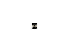Sims 2 — Lucia Eyes as Contacts - 3 - Steel Grey by zodapop — Steel grey contacts. Can be found under costume makeup