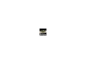 Sims 2 — Lucia Eyes as Contacts - 7 - Green Grey by zodapop — Greenish grey contacts. Can be found under costume makeup