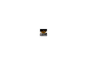 Sims 2 — Lucia Eyes as Contacts - 9 - Brown by zodapop — Brown contacts. Can be found under costume makeup