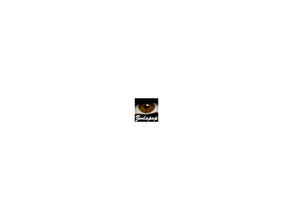 Sims 2 — Lucia Eyes as Contacts - 10 - Medium Brown by zodapop — Medium brown contacts. Can be found under costume makeup