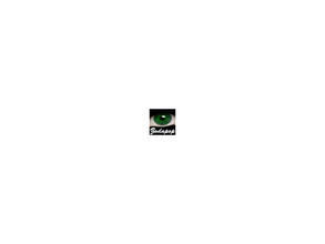Sims 2 — Lucia Eyes as Contacts - 11 - Dark Green by zodapop — Dark green contacts. Can be found under costume makeup