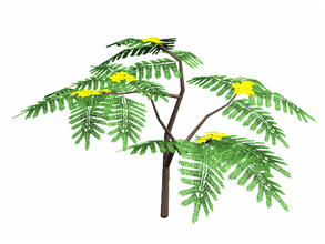 Sims 3 — Mimosa Tree by sim_man123 — Mimosa Tree, made by sim_man123 from TSR. TSRAA.