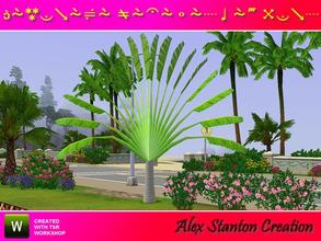 Sims 3 — Ravenala madagascariensis (5m) by alex_stanton1983 — The Traveler Tree is endemic of Madagascar but it is