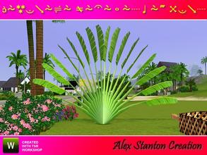 Sims 3 — Ravenala madagascariensis (4m) by alex_stanton1983 — The Traveler Tree is endemic of Madagascar but it is