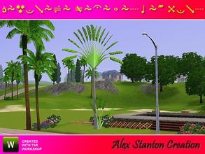 Sims 3 — Ravenala madagascariensis (10m) by alex_stanton1983 — The Traveler Tree is endemic of Madagascar but it is