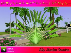 Sims 3 — Ravenala madagascariensis Set by alex_stanton1983 — The Traveler Tree is endemic of Madagascar but it is
