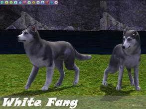 Sims 3 — White Fang by Wimmie — This is the result of my attempt to create a copy of White Fang, the famous half breed of