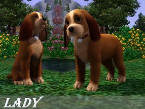 Sims 3 — Little Lady by Wimmie — Here comes the best friend of Tramp, Lady. She's is a little dog. Thank you for