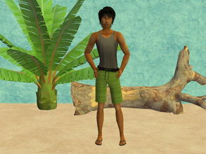 Sims 2 — TM summer outfit set - green by zaligelover2 — TM summer outfit.