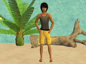 Sims 2 — TM summer outfit set - yellow by zaligelover2 — TM summer outfit.