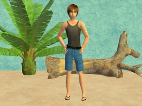 Sims 2 — TM summer outfit set - blue by zaligelover2 — TM summer outfit.