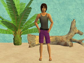 Sims 2 — TM summer outfit set - purple by zaligelover2 — TM summer outfit.
