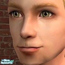 Sims 2 — Default Replacement Eye - Grey - MsBarrows Devastated Eyes by deagh — This is a default replacement for the