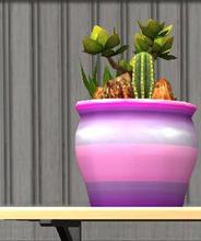 Sims 2 — Cacti Collection Recolors - Cacti Collection Recolor 5 by Sims99Fanatic2 — Cacti Collection Recolor 5