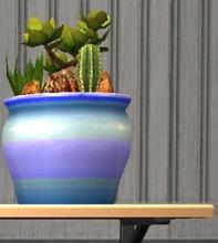 Sims 2 — Cacti Collection Recolors - Cacti Collection Recolor 4 by Sims99Fanatic2 — Cacti Collection Recolor 4