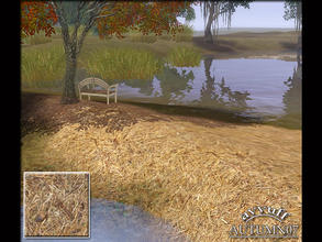 Sims 3 — Autumn 07 by ayyuff — dead leaves terrain paint..